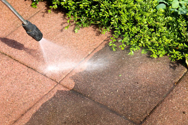 Best Roof Pressure Washing  in Marlin, TX